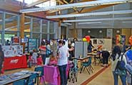 Community Fair