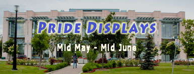 Pride Displays, Mid-May through Mid-June